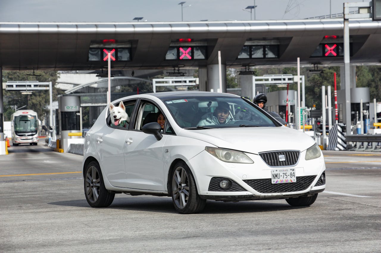 hero-img-02 A white car driving through a toll booth with a dog leaning out the window.